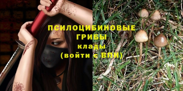 герыч Арсеньев